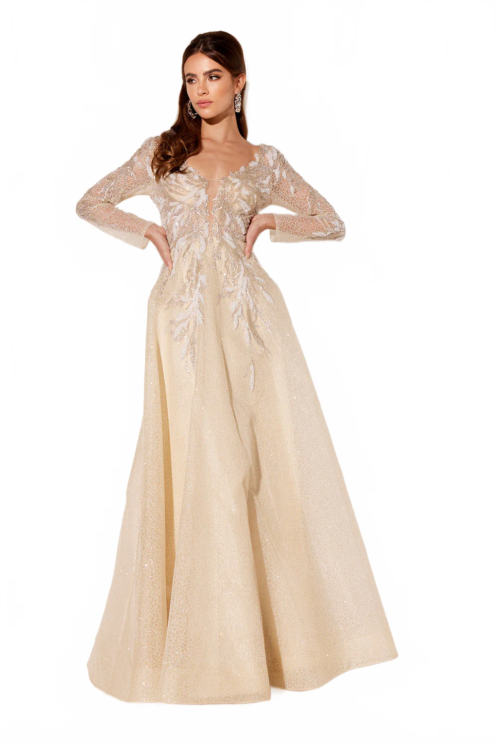 Applique Long Sleeve A-line Gown by Lucci Lu C8083 - Image 3