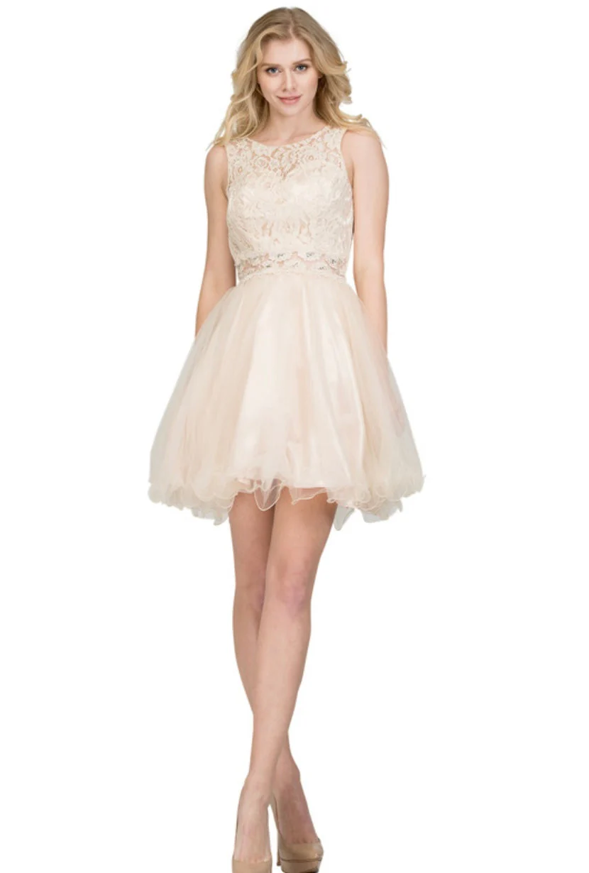 Chicas C1107 Elegant Party Black Illusion Short Beaded Tulle Dress - Image 4