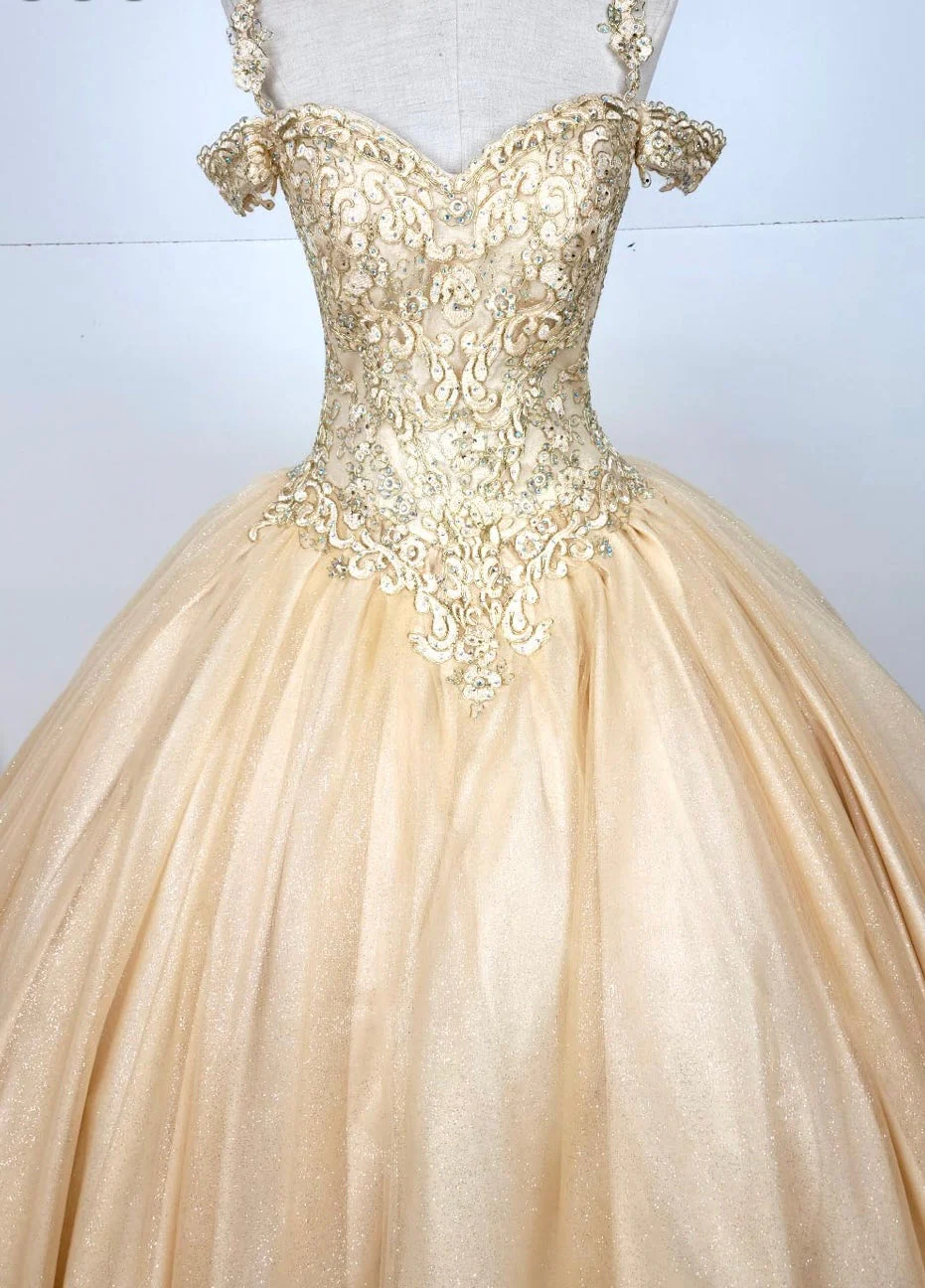 Chicas C1535 Quinceañera Royal BallDress Floor-Length Corset Embroidered Tulle Dress - Image 2