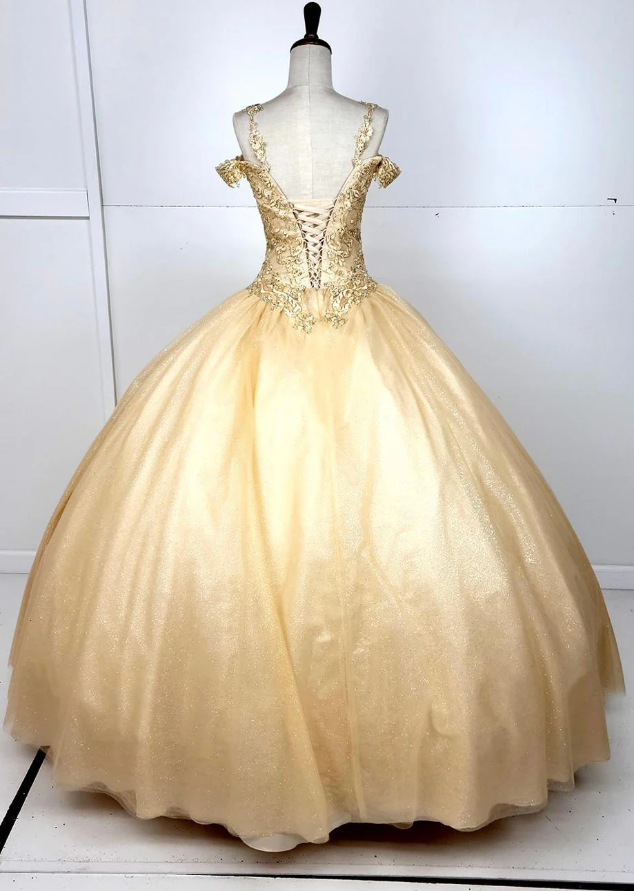 Chicas C1535 Quinceañera Royal BallDress Floor-Length Corset Embroidered Tulle Dress - Image 3