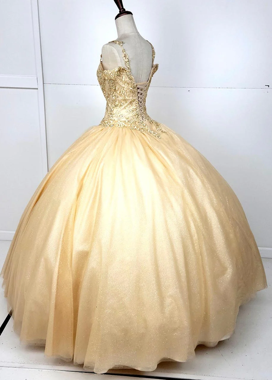 Chicas C1535 Quinceañera Royal BallDress Floor-Length Corset Embroidered Tulle Dress - Image 4