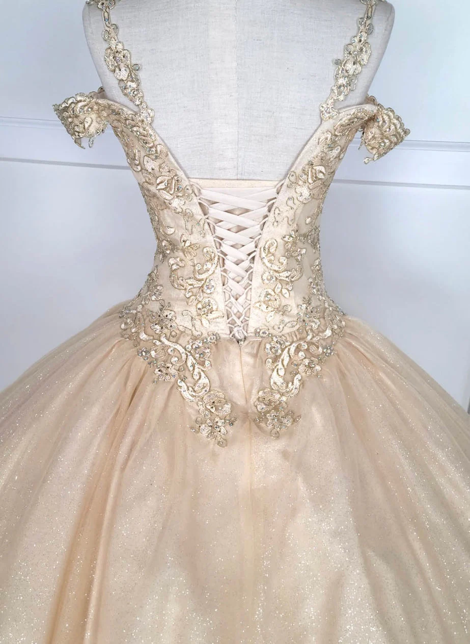Chicas C1535 Quinceañera Royal BallDress Floor-Length Corset Embroidered Tulle Dress - Image 5