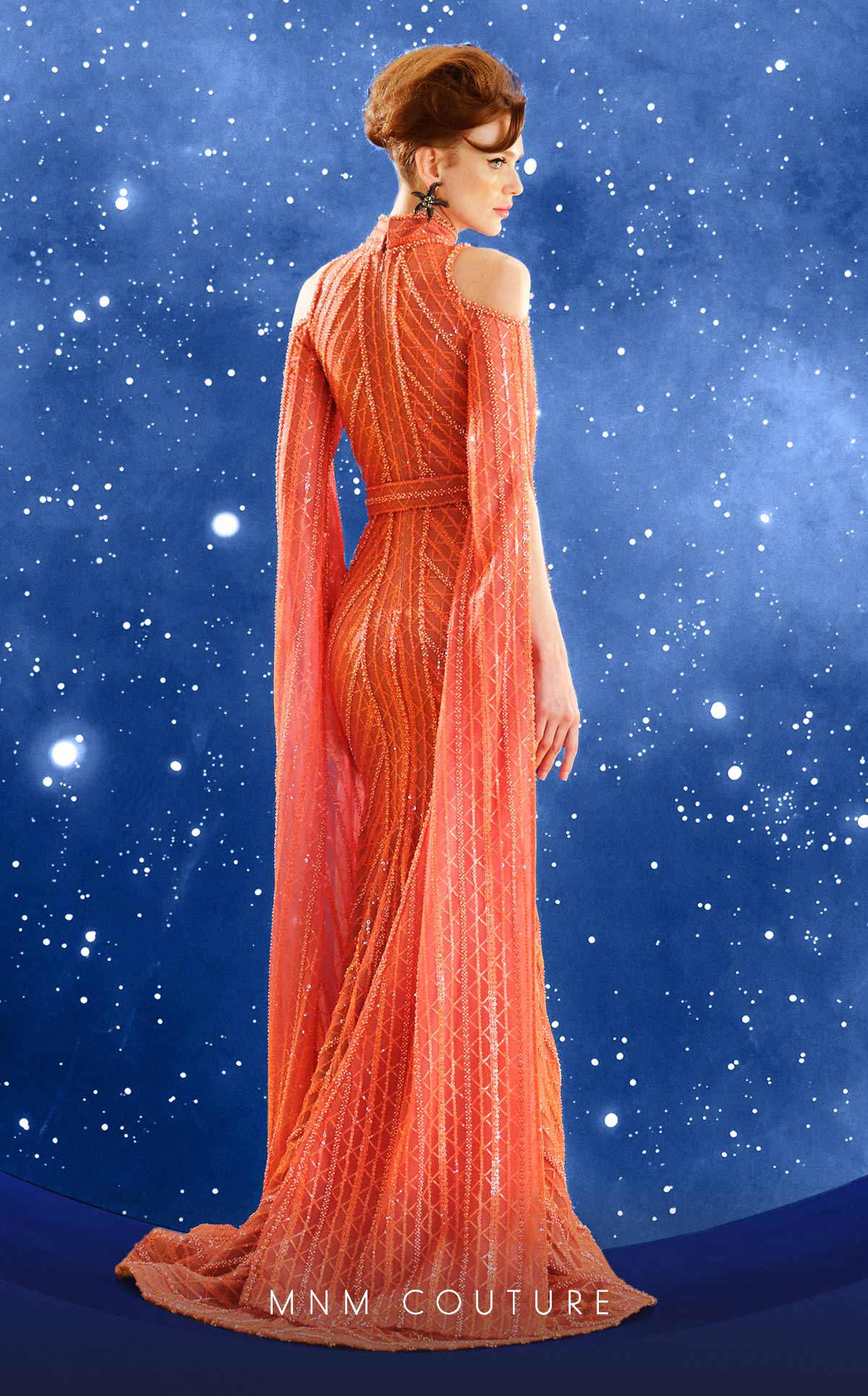 Fouad Sarkis Embroidered Mesh Gown with Cape Sleeves - Image 4