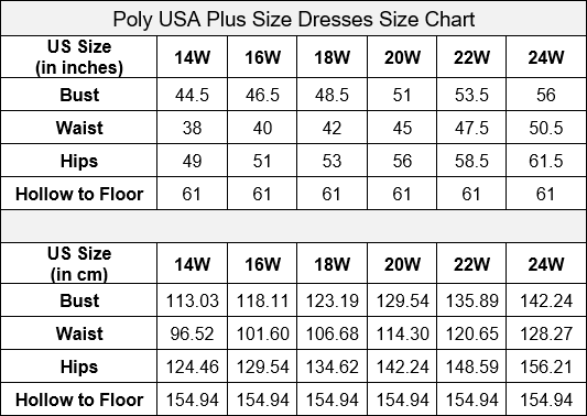 Poly USA W1094 Plus Size Embroidered Long Satin A-line Dress - Image 6