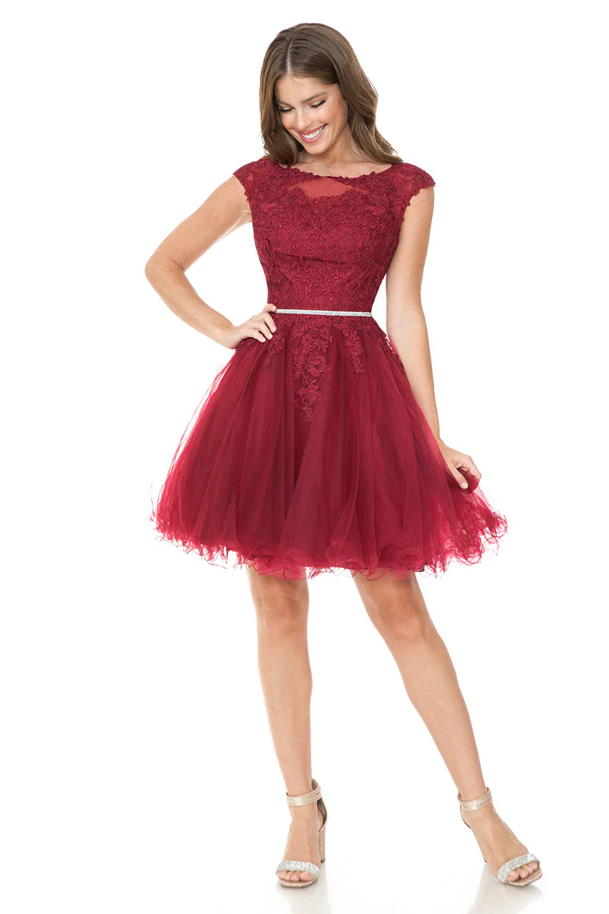 Short Tulle Party Dress with Lace Bodice & Illusion Scoop Neckline By Lenovia 8177 - Image 10
