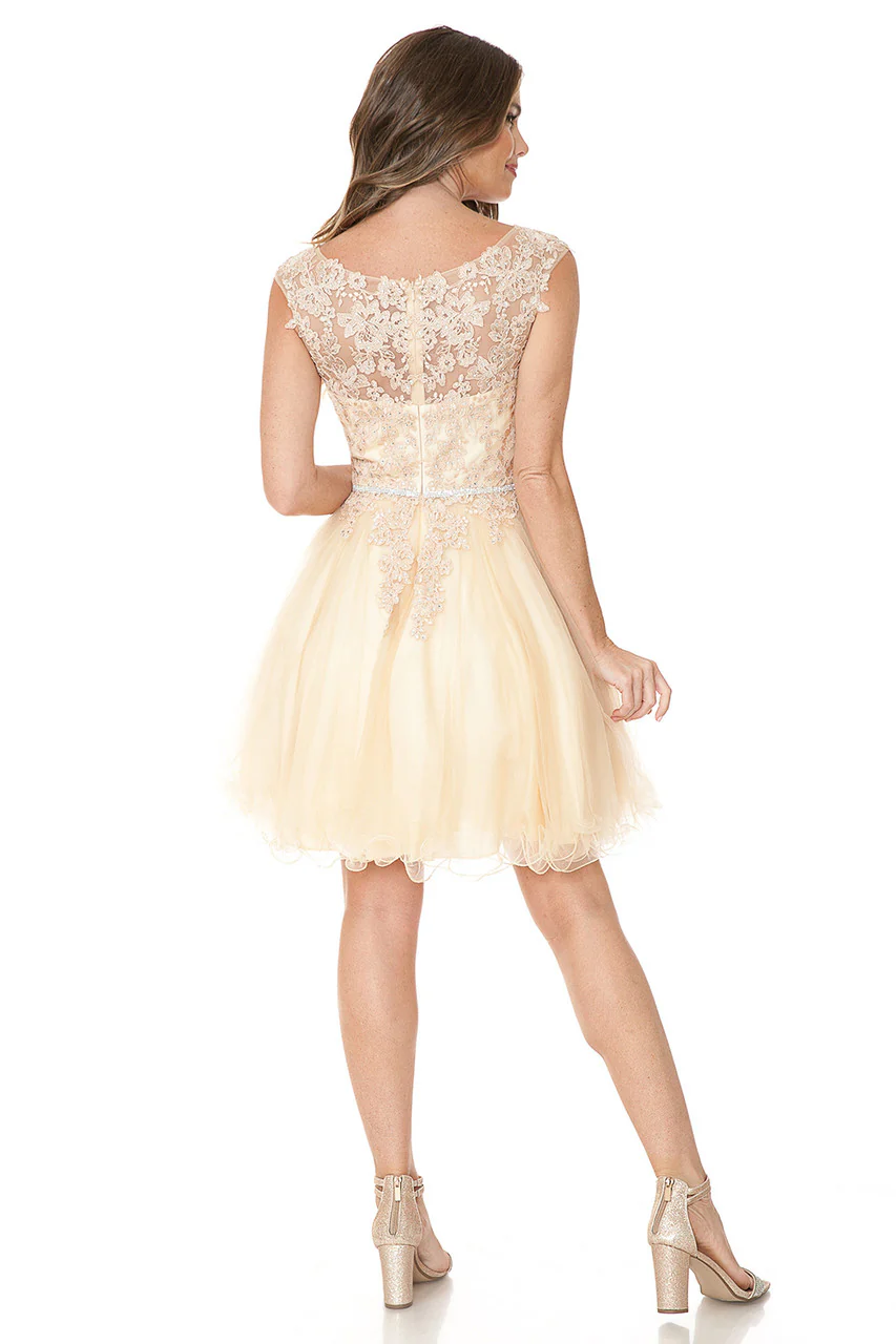 Short Tulle Party Dress with Lace Bodice & Illusion Scoop Neckline By Lenovia 8177 - Image 4