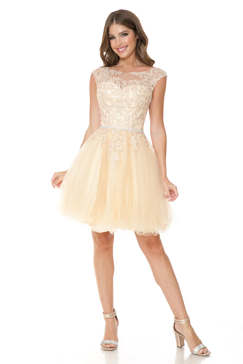 Short Tulle Party Dress with Lace Bodice & Illusion Scoop Neckline By Lenovia 8177 - Image 5