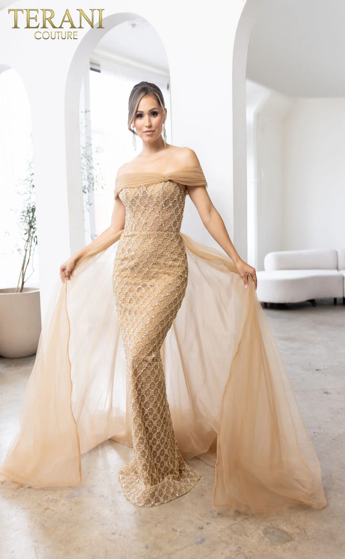 Terani Couture 241M2706 Elegant Glamorous Sophisticated Formal Long Premium Dress