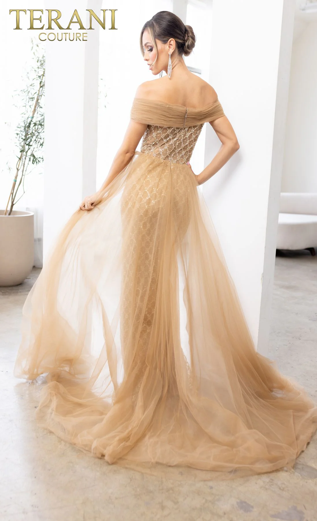 Terani Couture 241M2706 Elegant Glamorous Sophisticated Formal Long Premium Dress - Image 2