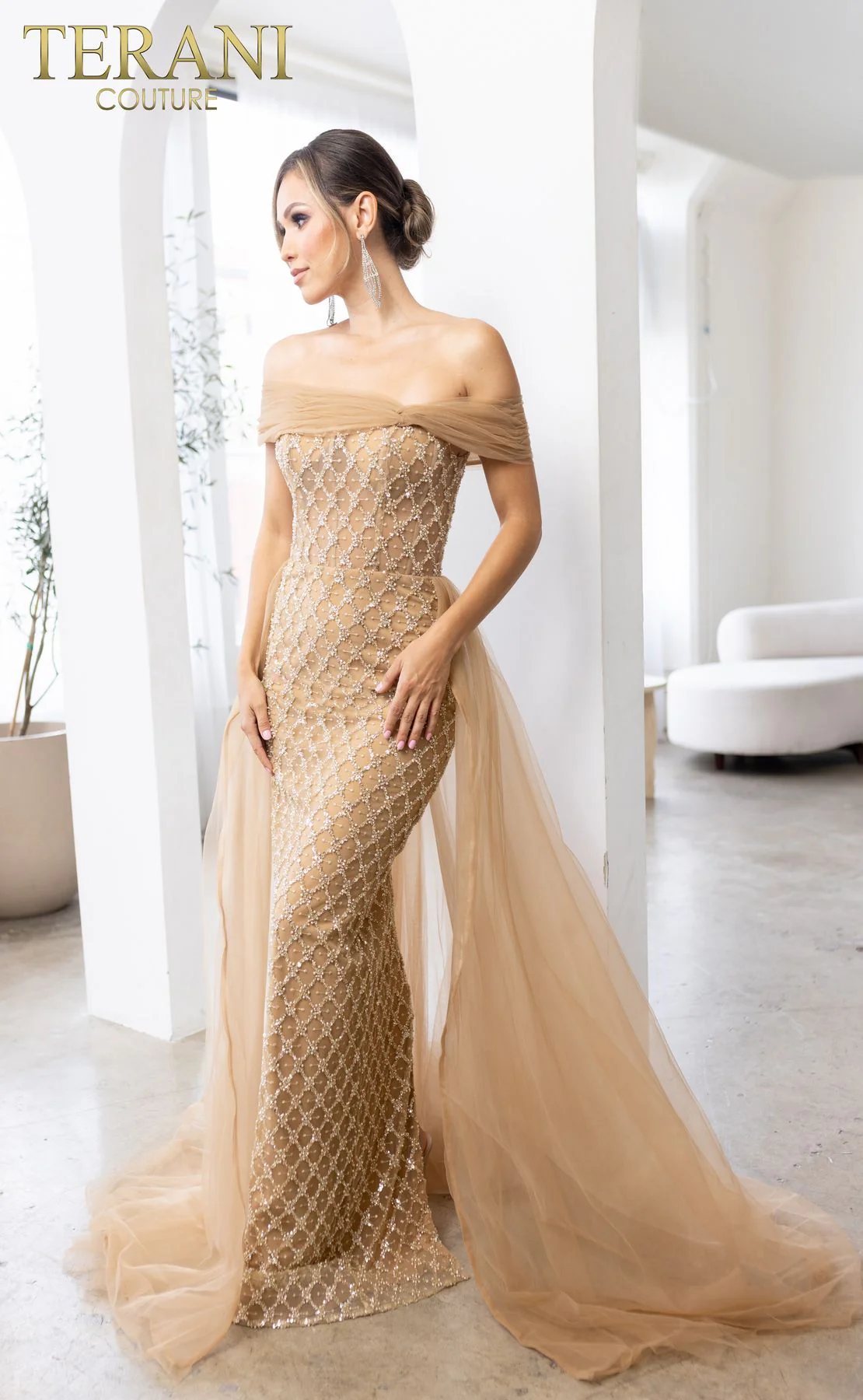 Terani Couture 241M2706 Elegant Glamorous Sophisticated Formal Long Premium Dress - Image 3