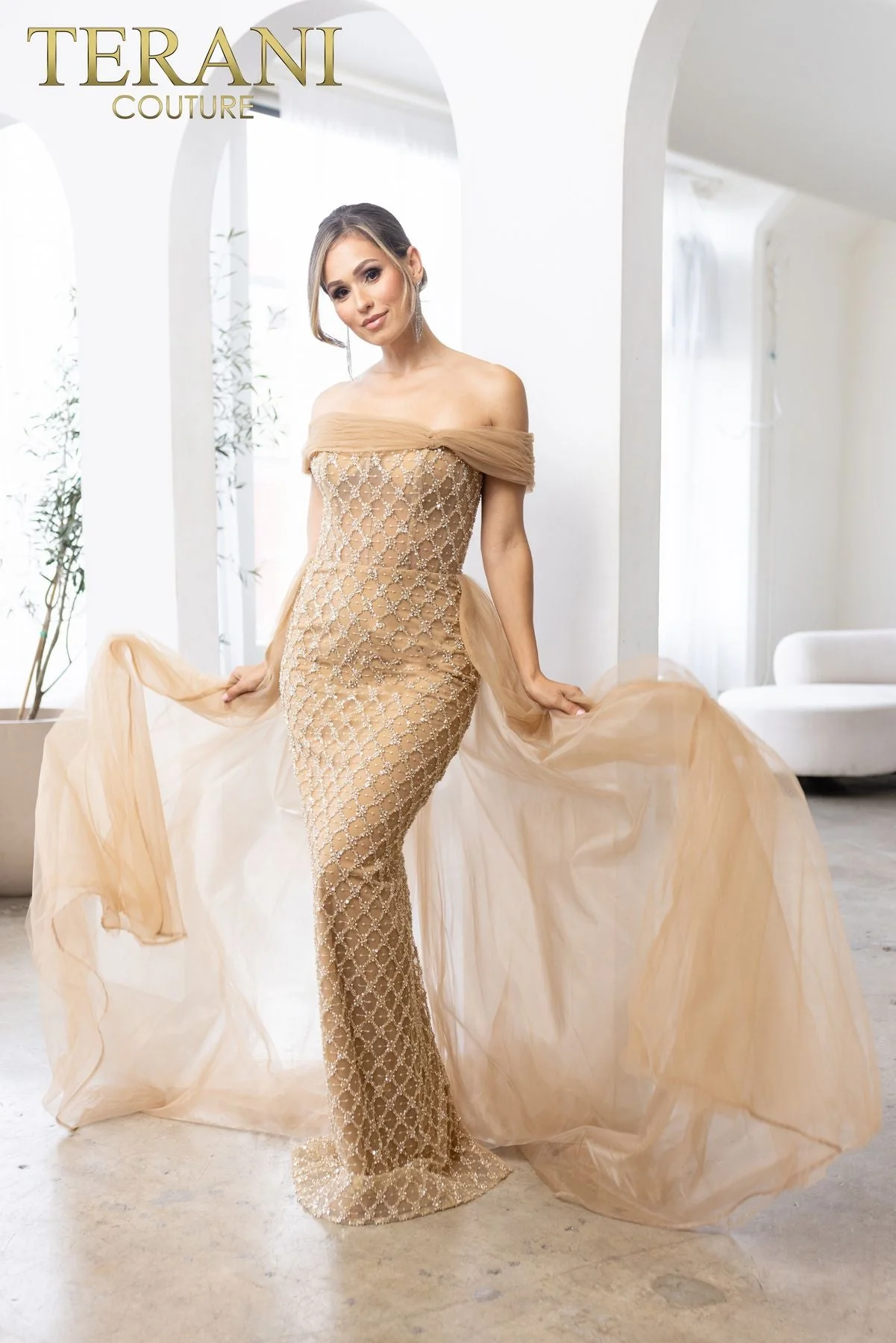 Terani Couture 241M2706 Elegant Glamorous Sophisticated Formal Long Premium Dress - Image 4