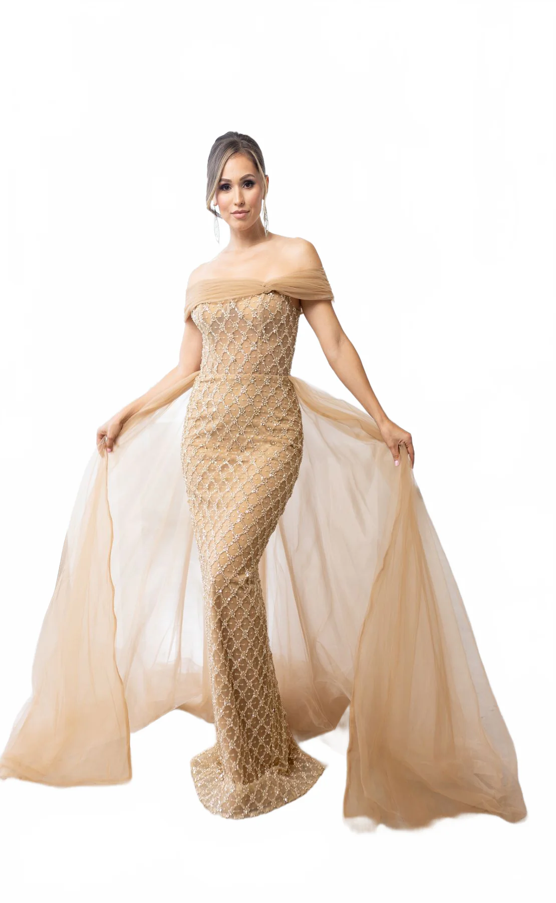 Terani Couture 241M2706 Elegant Glamorous Sophisticated Formal Long Premium Dress - Image 5