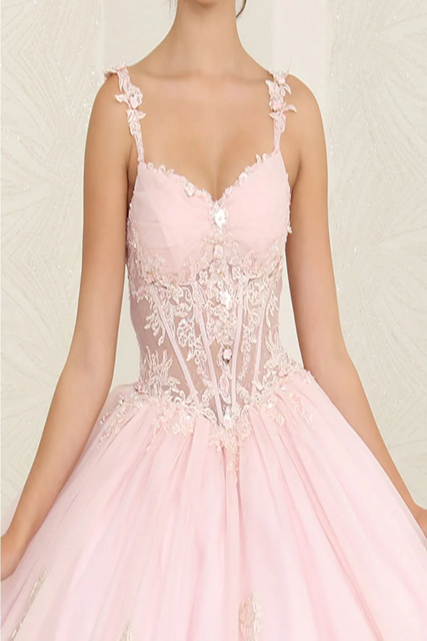Layla K LK256 Sheer Bodice Floral Sleeveless Blush Quinceanera Gown - Image 3